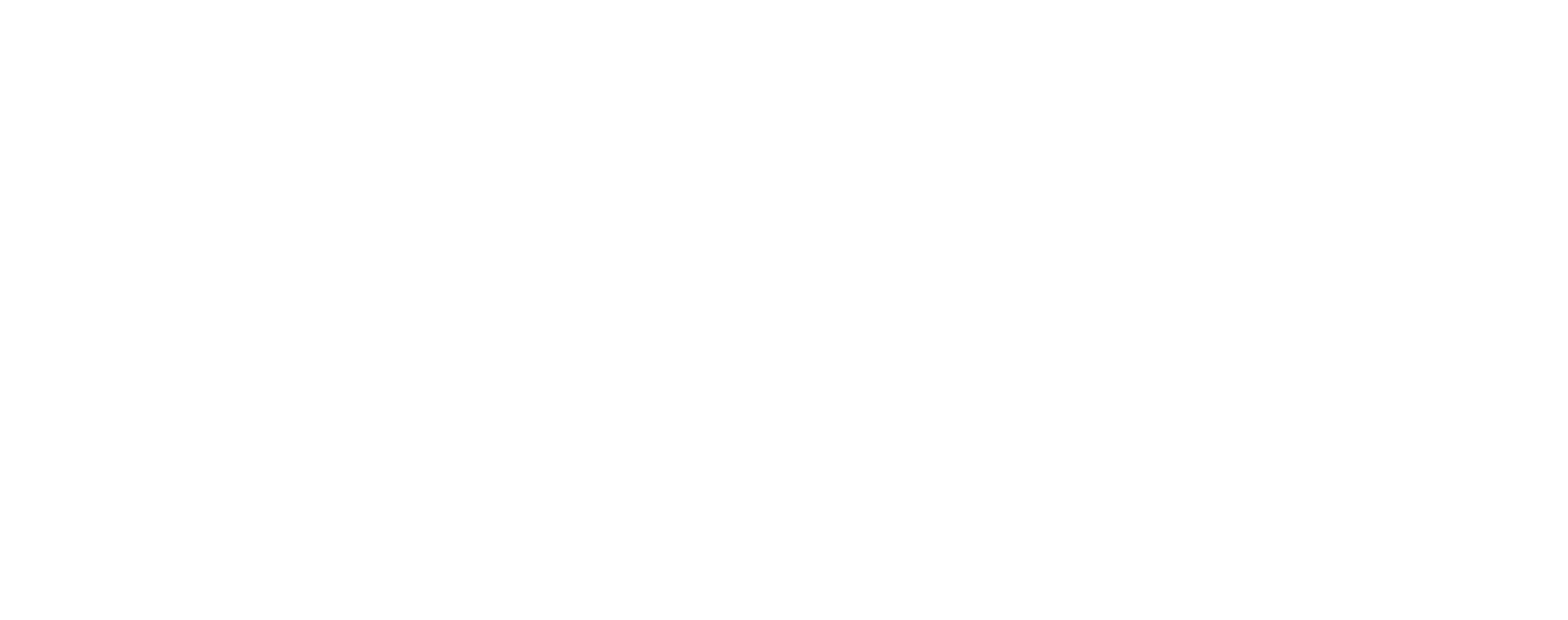 Blue Ant Studios